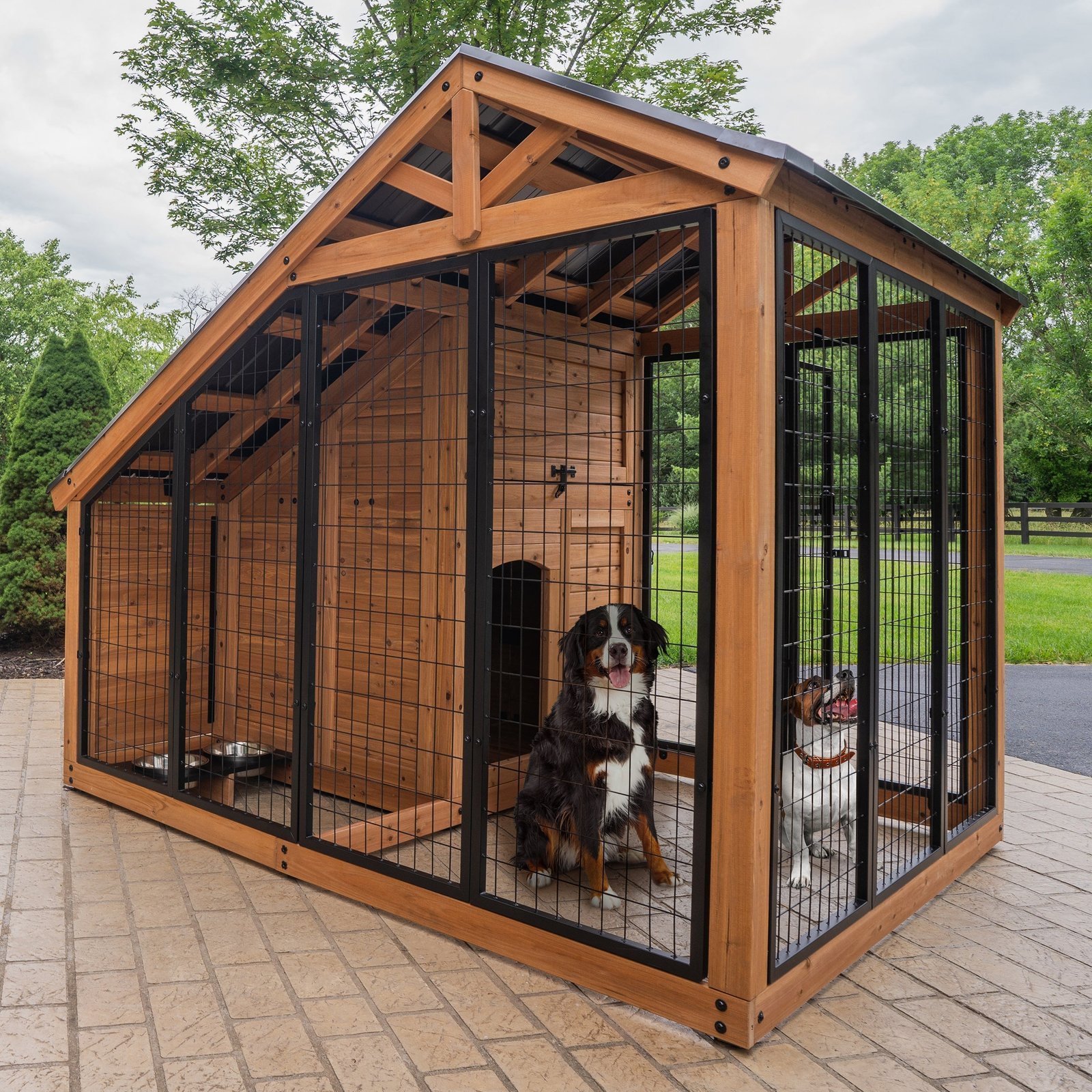 SIZE_AnimalEnclosure_Hero-With-Dogs_v2.jpg Animal Enclosure - Image 1