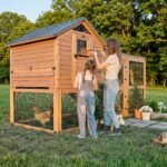Rustic Roots Chicken Coop - Image 15