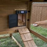 Rustic Roots Chicken Coop - Image 5
