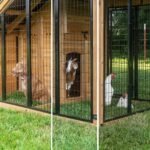 Animal Enclosure - Image 5