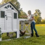 Sweetwater Chicken Coop - Image 15